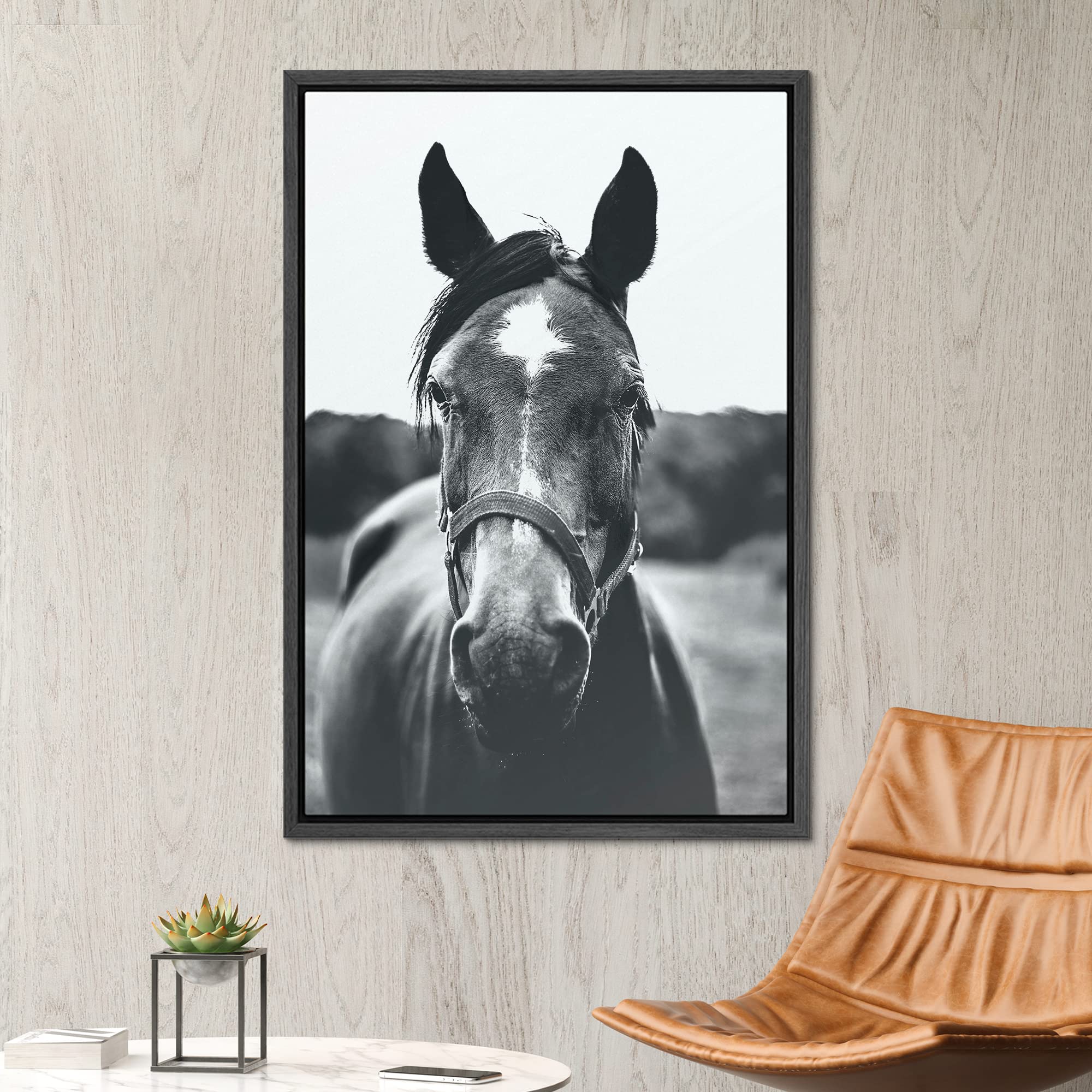 Amazon.com: SIGNWIN Framed Canvas Wall Art High Contrast Horse
